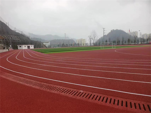 铜仁市交通学校塑胶跑道,人造草坪项目